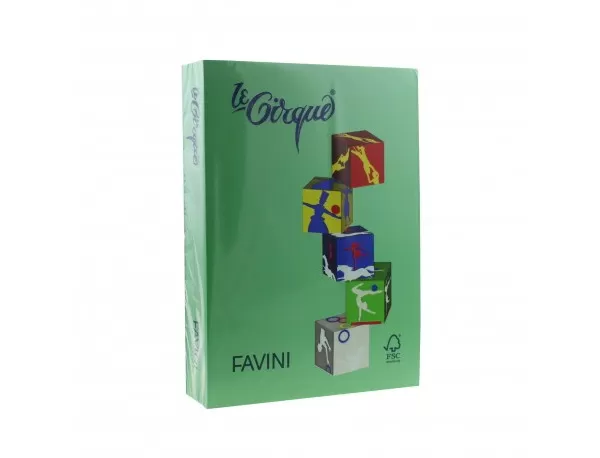 Carton color 160g/mp A4 208 VERDE INCHIS FAVINI-1-IMG-slider