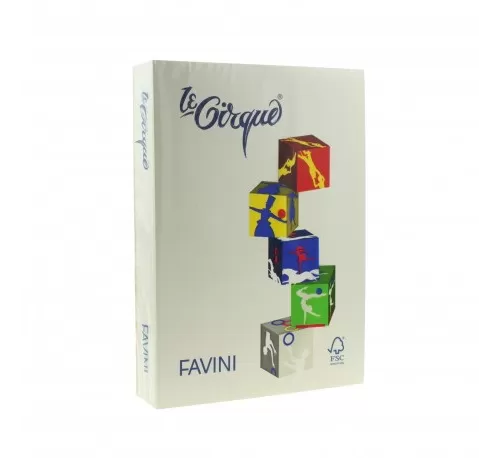 9-Carton-color-160g^mp-A4-109-GRI-FAVINI