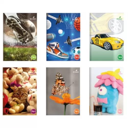 24-Caiet-tip-2_-capsat_-24-file_-80-g^mp-Ecada