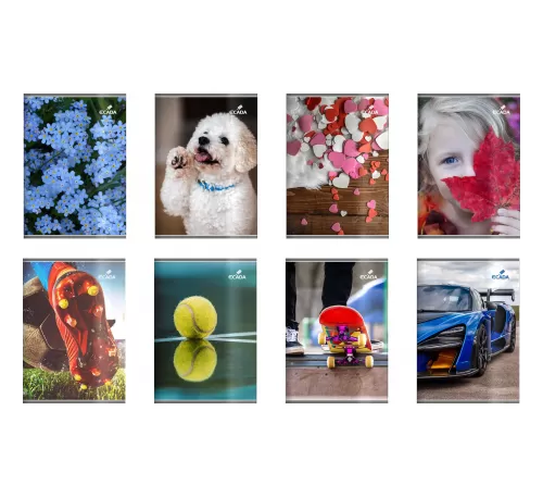 11-Caiet-A5-80-file_-dictando_-policromie-Ecada