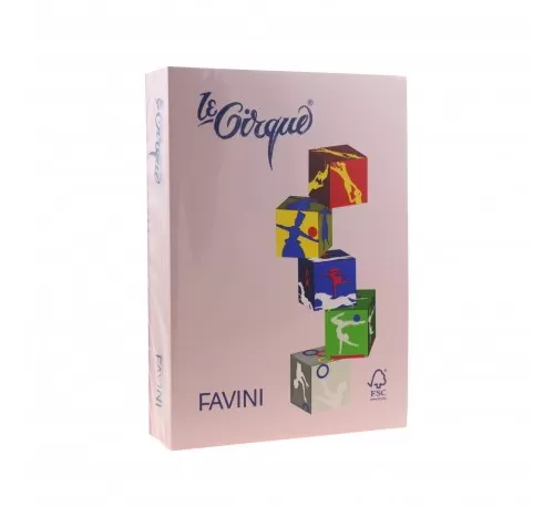 24-Carton-color-160g^mp-A4-108-ROZ-FAVINI