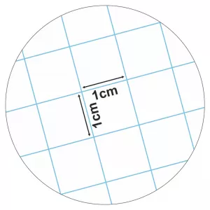 Caiet matematica incepatori, cu patratele mari A5, 24 file Ecada-2-IMG-nav