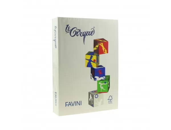 Carton color 160g/mp A4 109 GRI FAVINI-1-IMG-slider
