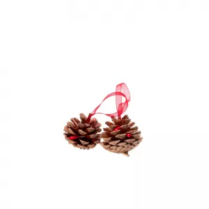 Accesorii craft - Conuri Pin din lemn Daco AD754-2-IMG-nav