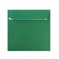 Plicuri colorate verde padure 14x14 cm, siliconic Daco PC1414VP-1-IMG-slider-mobile