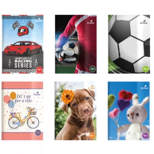 1-Caiet-tip-1-cu-liniatura-oblica_-clasa-1_-capsat_-24-file_-80-g^mp-Ecada