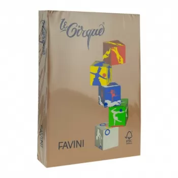 Carton colorat A4, maro piele, 250 coli, 160 g/mp, 300 Favini-1