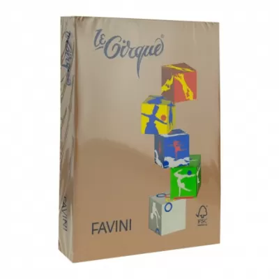 Carton colorat A4, maro piele, 250 coli, 160 g/mp, 300 Favini-img