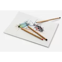 Creioane pastel pitt 12 culori Faber-Castell-3-IMG-slider-mobile