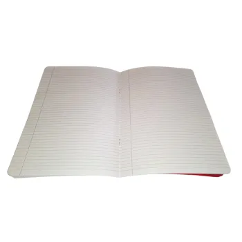Caiet tip 2, coperta plastic, 24 file, 100 g/mp Daco CT522-3