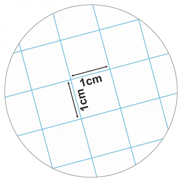Caiet matematica incepatori, cu patratele mari A5, 24 file Ecada-2-IMG-slider