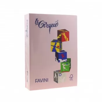 Carton color 160g/mp A4 108 ROZ FAVINI-1