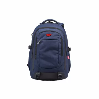Ghiozdan adolescenti, liceu, baieti, albastru, 48 cm Daco GH544A-img