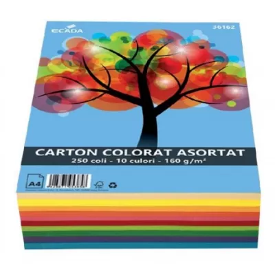 Carton color asortat A4 Ecada-img