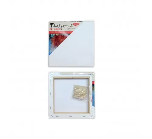 24-Panza-pictura-pe-sasiu-30x30-cm-DACO