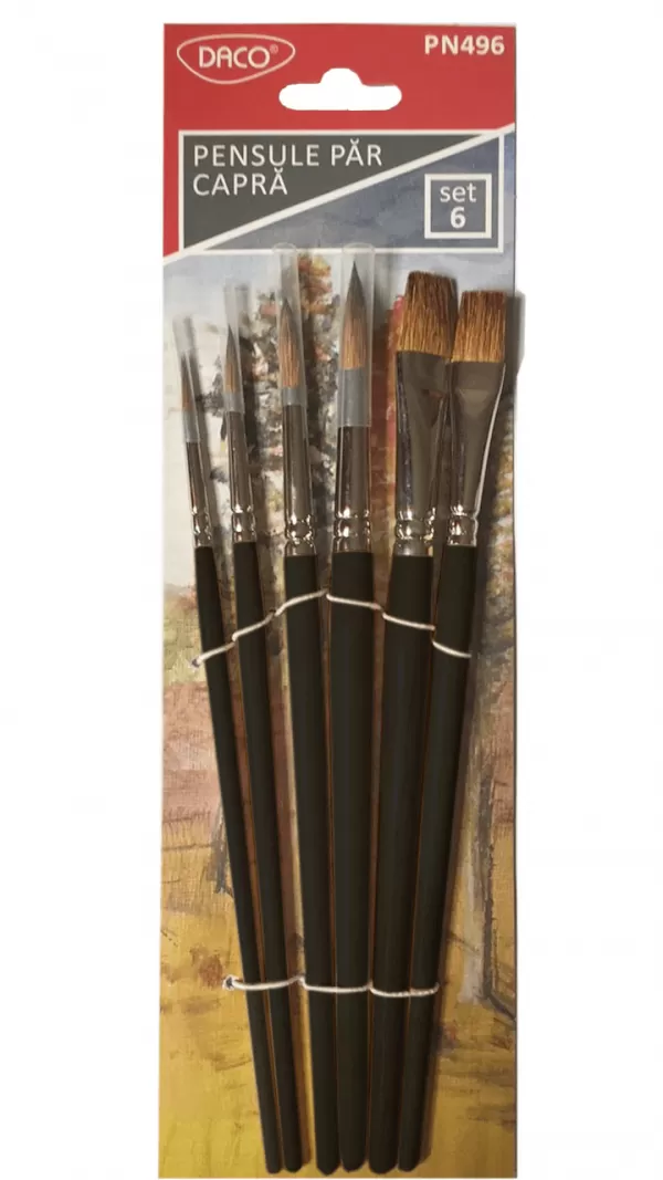 Pensule pictura set 6, din par de capra Daco PN496-1-IMG-slider