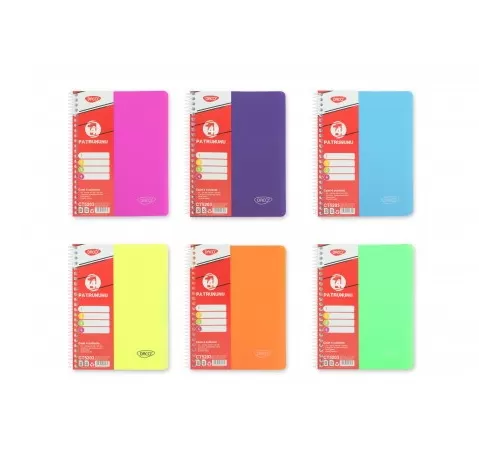 5-Caiet-cu-spira-A5-si-coperta-plastic_-4-subiecte_-120-file_-hartie-70g^m2-Daco-CT5203