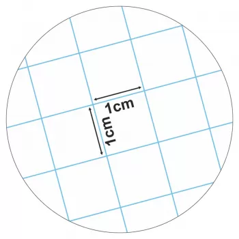 Caiet matematica incepatori, cu patratele mari A5, 24 file Ecada-2