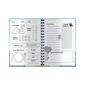 Jurnal de vacanta 100 zile -4-IMG-nav