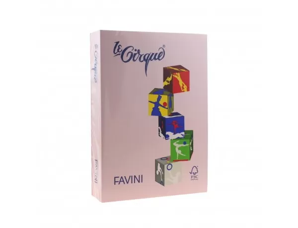 Carton color 160g/mp A4 108 ROZ FAVINI-1-IMG-slider