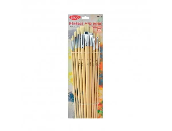 Pensule pictura set 10 bucati, par porc, coada lunga Daco PN10-1-IMG-slider