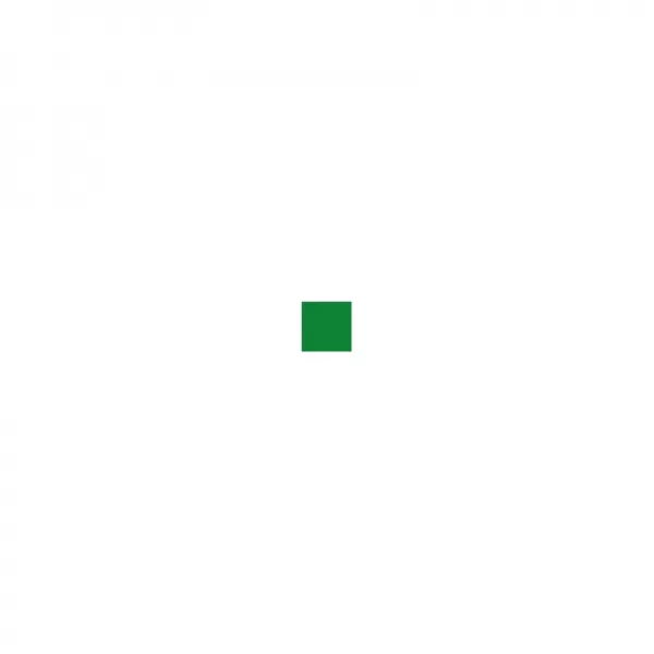 Carton colorat A4, verde padure, 250 coli, 160 g/mp, 207 Favini-2-IMG-slider
