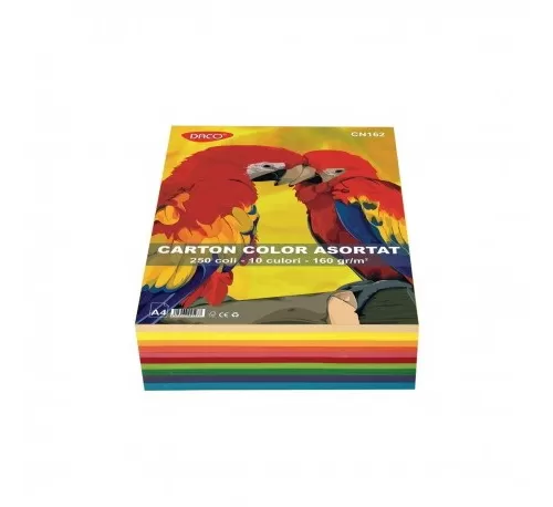 22-Carton-color-A4-250-coli-10-cul-DACO-160G^mp
