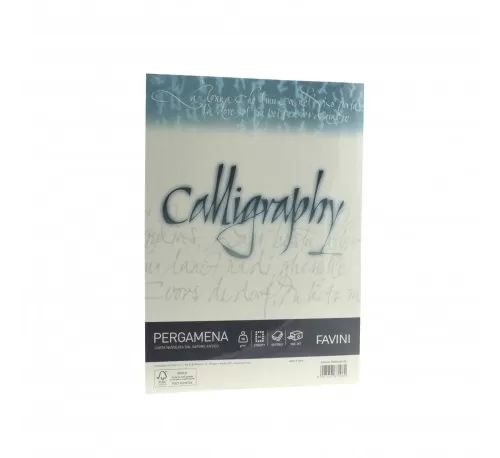 10-Hartie-caligrafica-90g^mp-A4-20-coli-NATUR-FAVINI-PERGAMENA