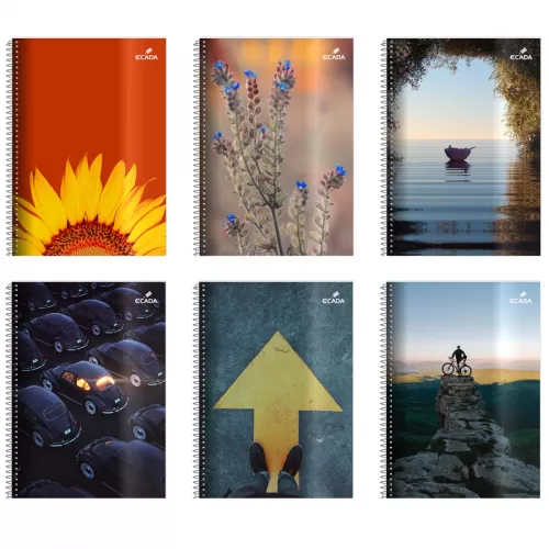 1-Caiet-cu-spira-A4-80-file_-dictando_-Ecada